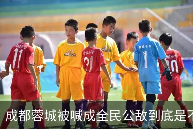 成都蓉城被喊成全民公敌到底是不是真的,看完五月申花主场那场六万多人看球就知道答案